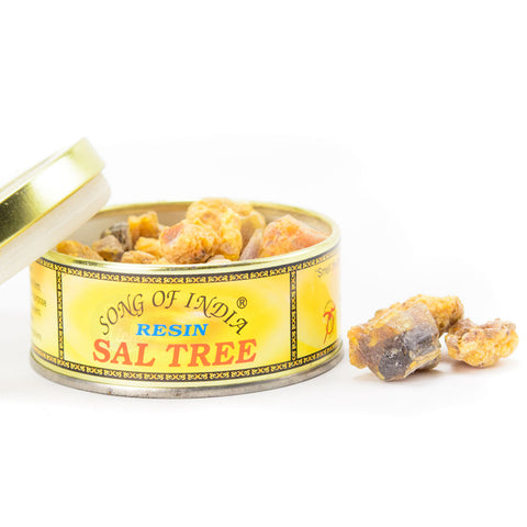 Sal Tree Resin Incense Blend Tin - by Song of India