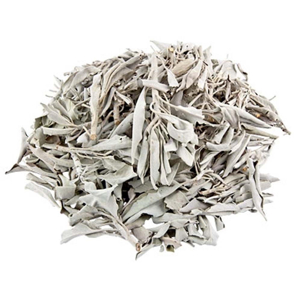 California White Sage Leaves & Clusters