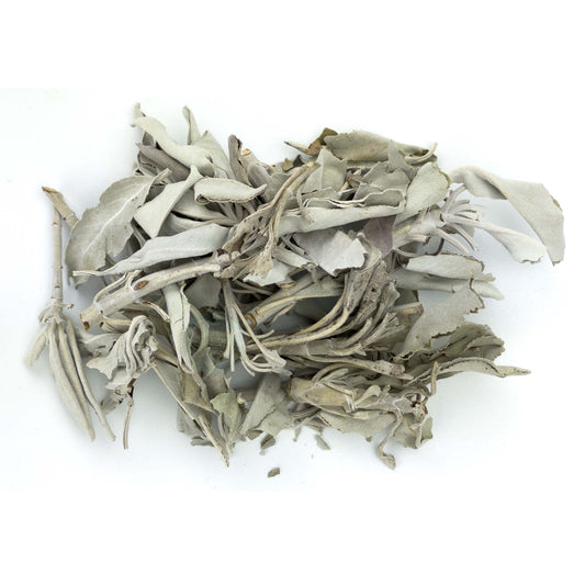 California White Sage Leaves & Clusters