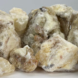 Mexican Copal Blanco (Bursera Bipinnata)