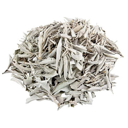 California White Sage Leaves & Clusters
